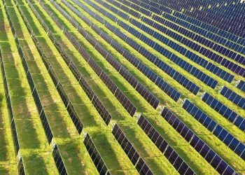 Colorado electric co-op enters PPA with Silicon Ranch for 150-MW solar project
