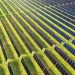 Colorado electric co-op enters PPA with Silicon Ranch for 150-MW solar project