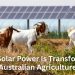 How Solar Power Is Transforming Australian Agriculture