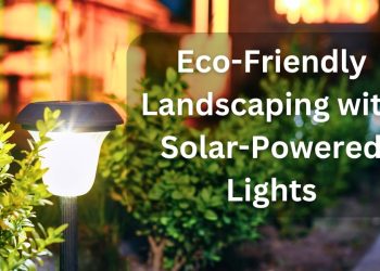 Eco-Friendly Landscaping with Solar-Powered Lights