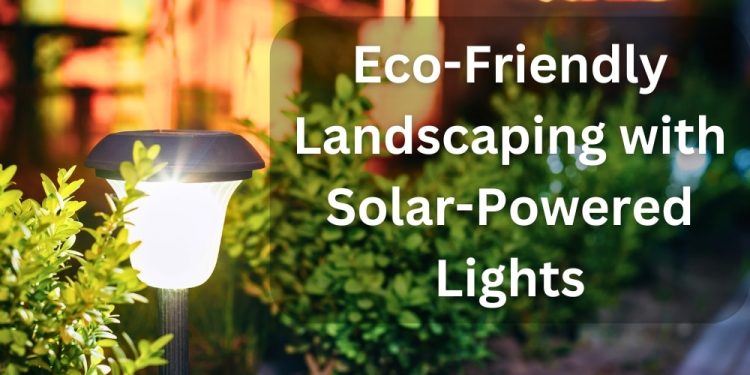 Eco-Friendly Landscaping with Solar-Powered Lights
