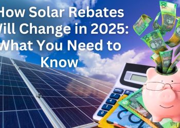 What You Need to Know