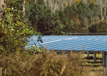 EDP Renewables wraps up 400-MW solar portfolio for Microsoft