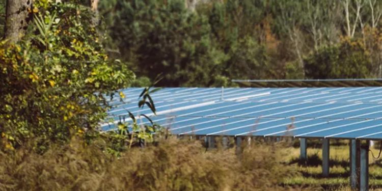 EDP Renewables wraps up 400-MW solar portfolio for Microsoft