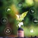 Living a Net-Zero Lifestyle: Solar Energy’s Role