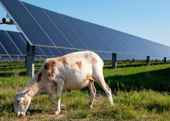 First Solar to distribute solar panels to DG market through Guided Path Solar