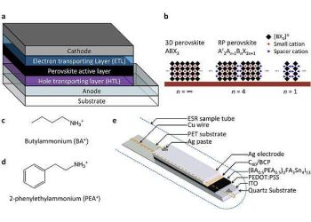 Enhancing Durability and Efficiency in Tin-based Perovskite Solar Cells