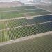 Longroad Energy develops 13-MW solar project for California glass packaging facility