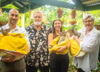 GoodWe and Six Star Plus Power Wildlife Rescue With Solar Energy