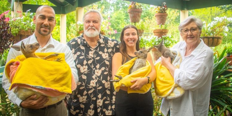 GoodWe and Six Star Plus Power Wildlife Rescue With Solar Energy