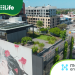 Momentum Energy Powering Nightingale’s Community Housing