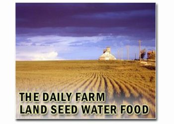 Enhancing agrivoltaic synergies through optimized tracking strategies