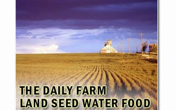 Enhancing agrivoltaic synergies through optimized tracking strategies