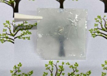Nanocellulose infused with red onion extract shields solar cells from UV degradation