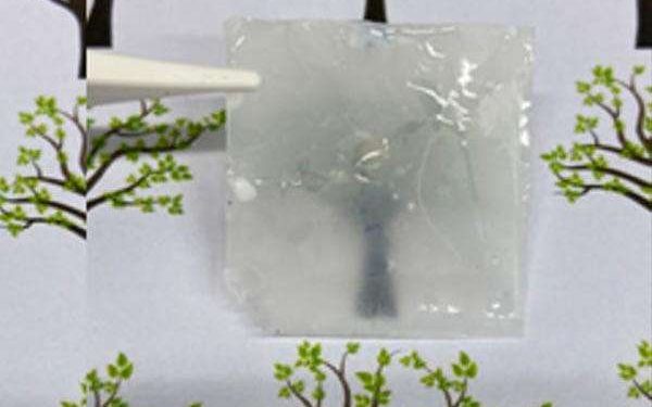 Nanocellulose infused with red onion extract shields solar cells from UV degradation