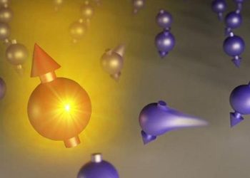 Groundbreaking Discovery Links Small Polaron Effect to Enhanced Spin Lifetime in 2D Lead Halide Perovskites