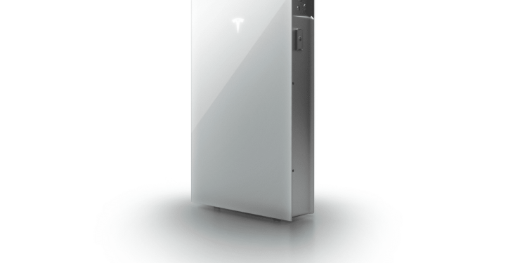 Which One Should You Choose?