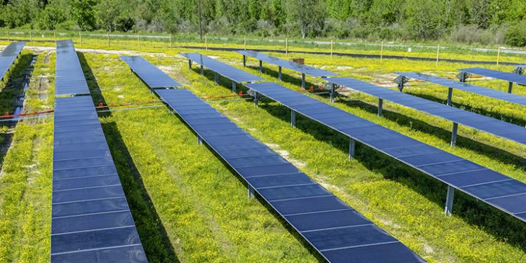 Lightsource bp funds community initiatives with 180-MW Louisiana solar project