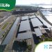 How the Port of Brisbane Maximises Their Solar via Momentum Energy
