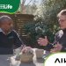 AIKO Solar Panels Powering Jon Dee’s Home