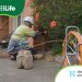 Electrify Your Home With Momentum Energy and Goodbye Gas