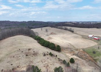 Castillo Engineering, Northern Sun Energy collaborate on 31-MW New York community solar portfolio