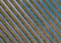 U.S. solar capacity expected to triple in next 10 years – pv magazine USA
