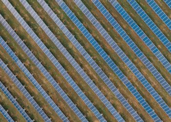 U.S. solar capacity expected to triple in next 10 years – pv magazine USA