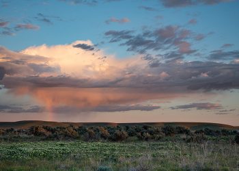 DOE announces plans to develop AI data centers paired with new energy infrastructure on public lands