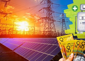 What You Need to Know