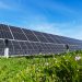 City of Fresno can’t stop adding solar and storage to city-owned sites