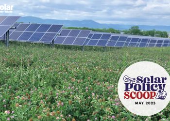 The Solar Policy Scoop: May 2025
