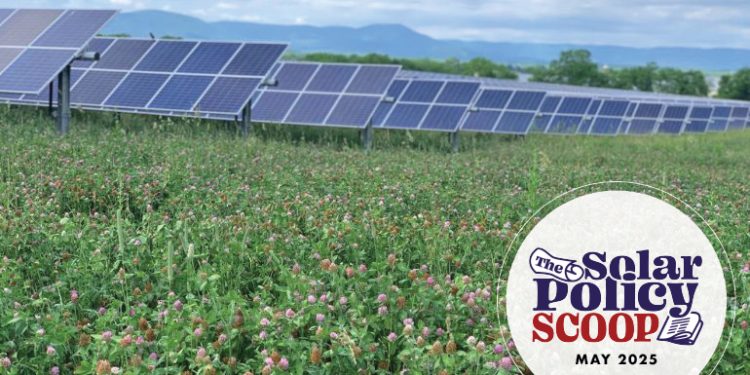 The Solar Policy Scoop: May 2025
