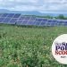The Solar Policy Scoop: May 2025