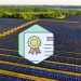 Navigating Queensland’s New ‘Social Licence’ Requirements for Solar Projects