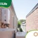 Going Solar as a Renter? Why It Makes Sense With Solis Inverters