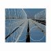 AI designed nanostructure coating cuts solar reflection and boosts cell efficiency
