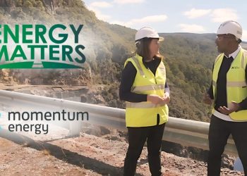 Who Powers Your Home? Understanding Energy Distributors and Retailers