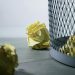 Virginia governor vetoes bills that would have bolstered long-duration energy storage