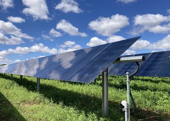 SolAmerica completes 3.1-MW solar portfolio for farm feed manufacturer