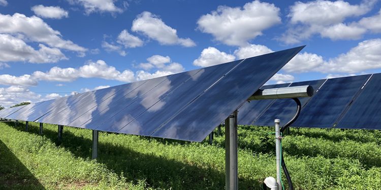 SolAmerica completes 3.1-MW solar portfolio for farm feed manufacturer