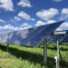 SolAmerica completes 3.1-MW solar portfolio for farm feed manufacturer
