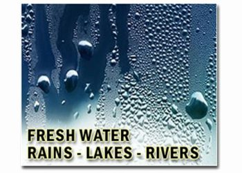 Spongy Device Draws Water from Air Using Sunlight for Efficient Harvesting