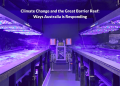 Climate Change and the Great Barrier Reef: Ways Australia is Responding