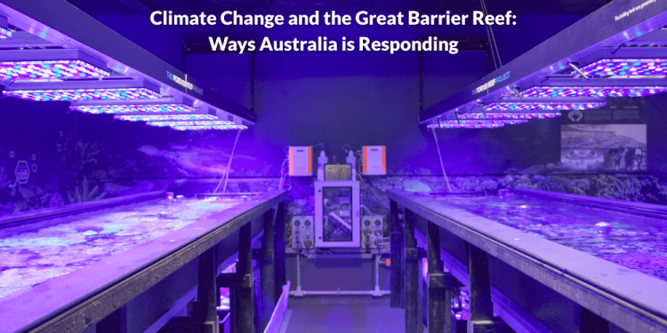Climate Change and the Great Barrier Reef: Ways Australia is Responding