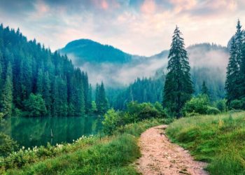 The Environmental Impact of Solar Energy