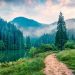 The Environmental Impact of Solar Energy