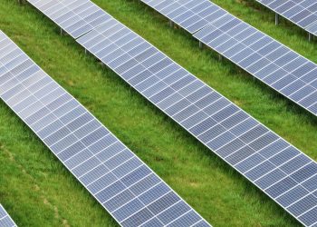 Louisiana electric cooperative now supported by 100-MW solar project