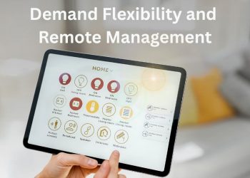 Embracing Remote Management and Energy Savings for Households