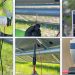 Solar connector failures remain major threat to systems